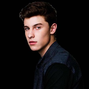 Shawn Mendes Bio, Affair, Single, Net Worth, Ethnicity, Salary, Height