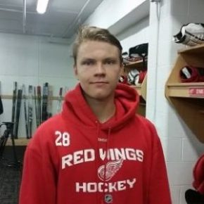 Vili Saarijärvi