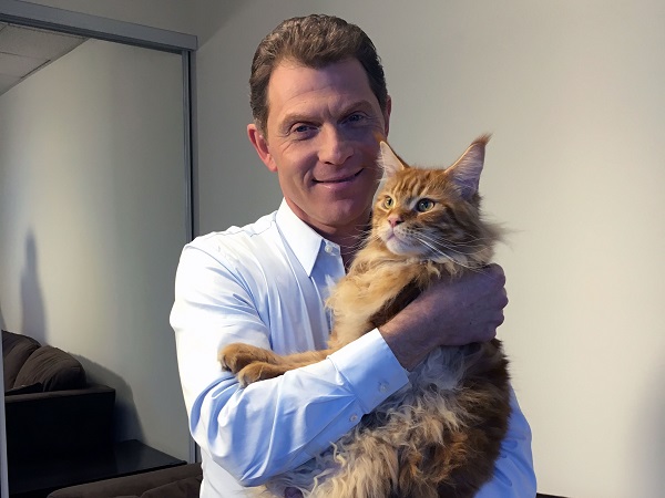 Bobby Flay Napping With His Cat Nacho in his Stomach is the most