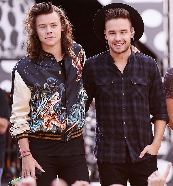 Liam Payne On Harry Styles’ New Solo Music With Shady Reaction: ‘It’s ...