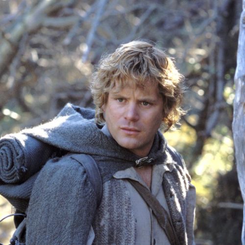 Sean Astin