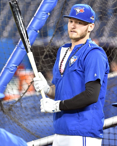 Baseball Player Josh Donaldson had accident with the bat and hit Plate ...