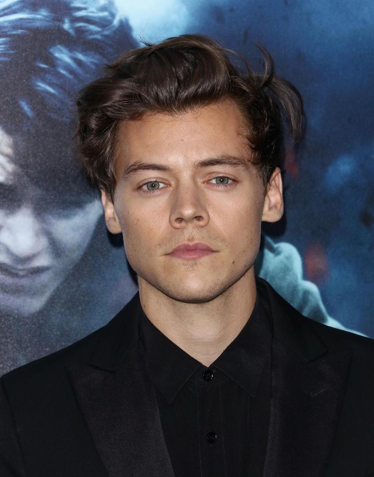 HARRY’S NEW GIRL!! Harry Styles Dating Victoria’s Secret Model Camille Rowe Source: Getty Images (Harry Styles)