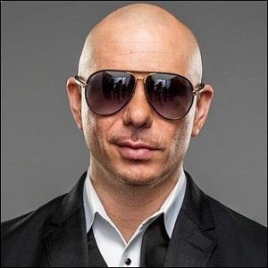 what race is pitbull