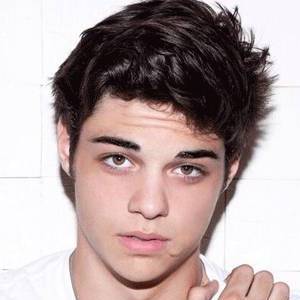 Next photo of Noah Centineo