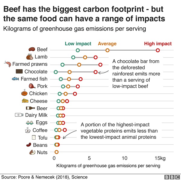 Food climate footprint impact! Which food items cause the ...