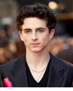 Timothée Hal Chalamet Bio, Relation, Net Worth, Age, Girlfriend