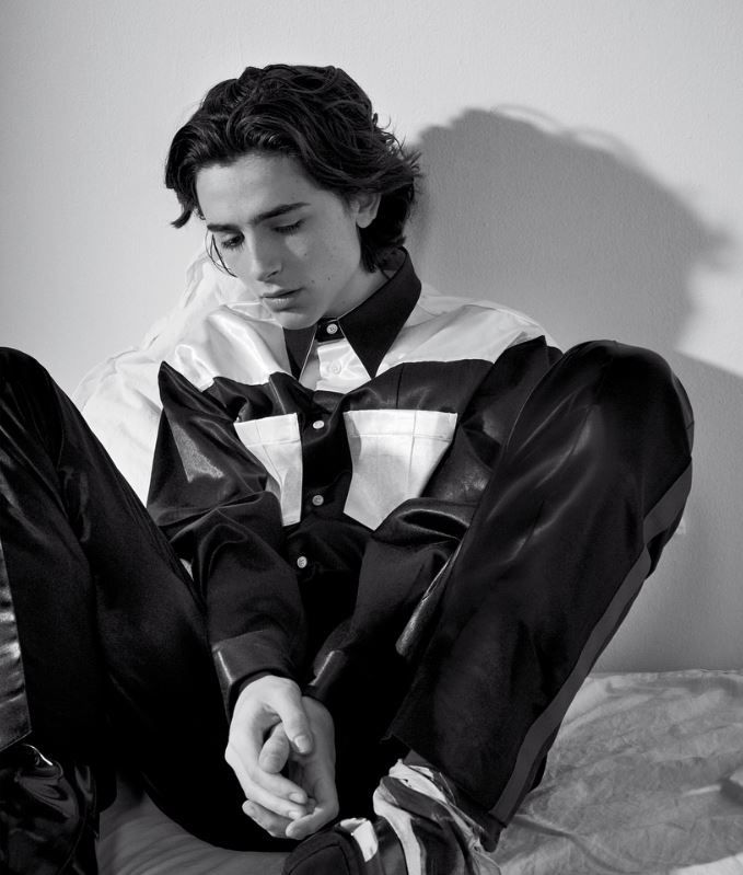 Timothée Hal Chalamet- an American actor from Call Me by Your Name and Lady Bird has a immense filmy background!
