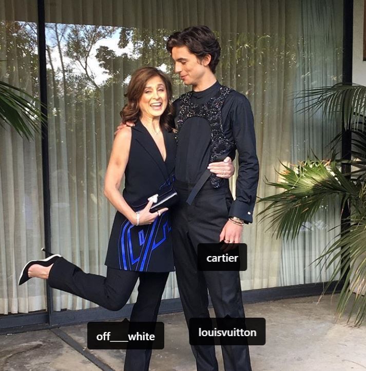 Timothée Hal Chalamet- an American actor from Call Me by Your Name and Lady Bird has a immense filmy background!