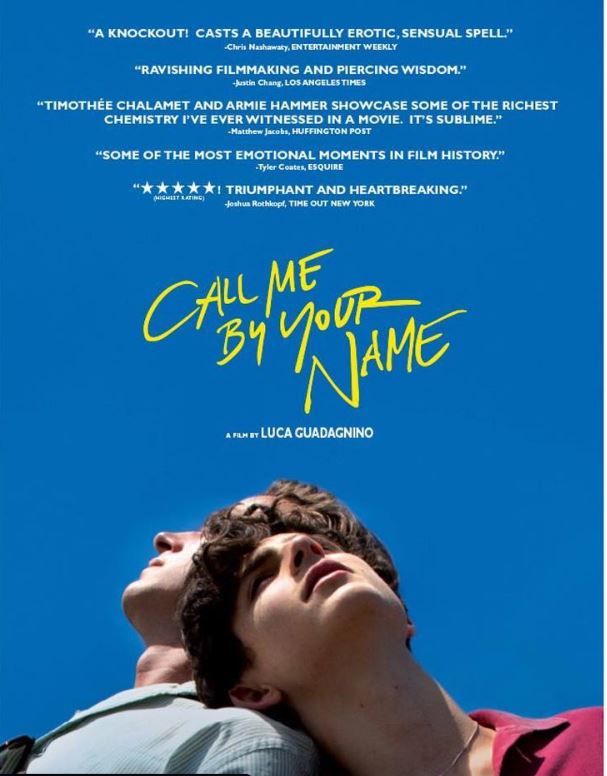 Timothée Hal Chalamet- an American actor from Call Me by Your Name and Lady Bird has a immense filmy background!
