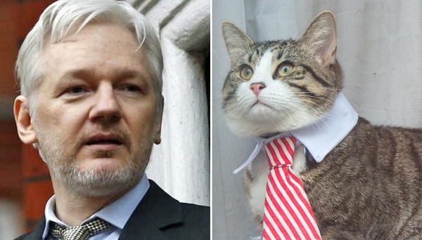 How has the seven years of asylum and confinement affected Julian Assange’s physical and mental health?