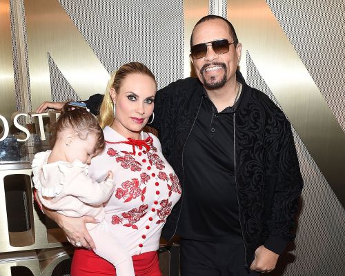 Is Ice T Biracial 