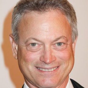 sinise earnings actor