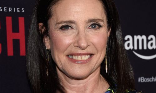 Mimi rogers hot