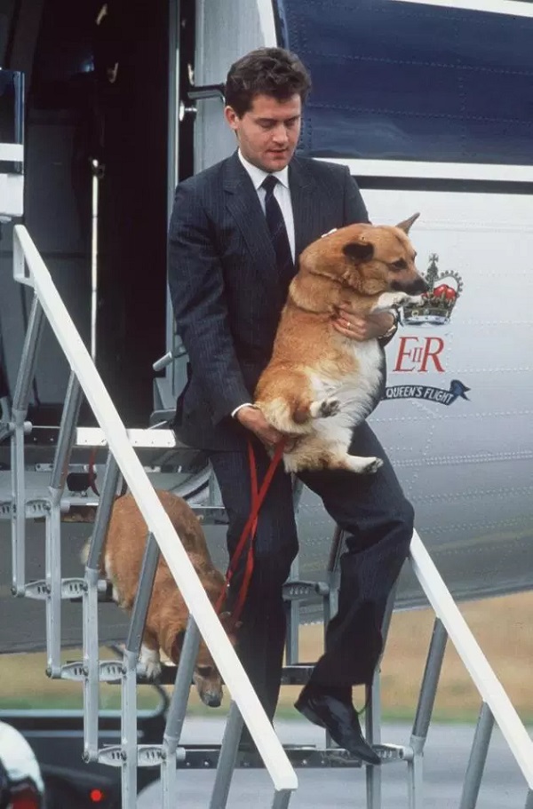 Pet love! Queen Elizabeth II and her corgis! Know everything about