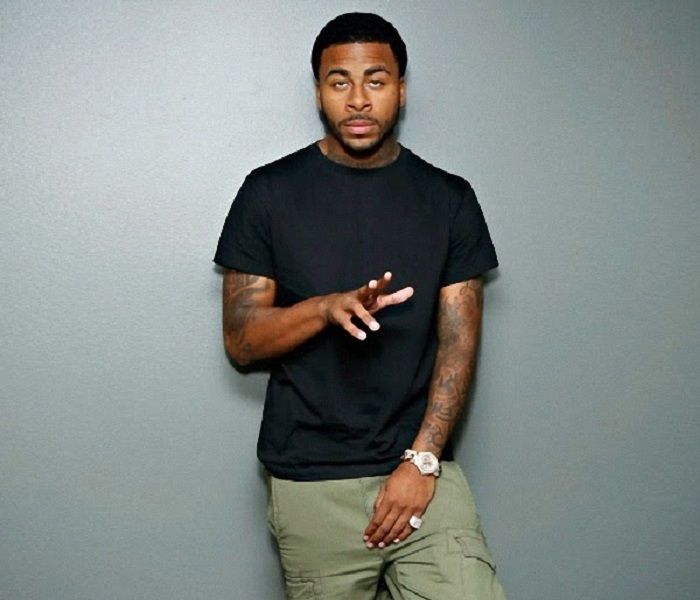 sage the gemini