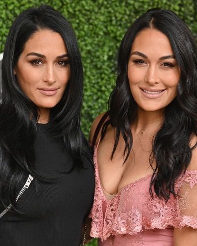 The Twin Bella sisters Nikki Bella and Brie Bella expecting baby ...