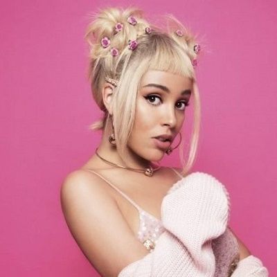 Doja Cat Bio Affair In Relation Ethnicity Salary Age Nationality