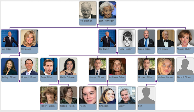 Hunter Biden Family Tree : Joe Biden S Family Tree Joe Biden Is The