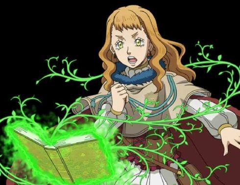 Mimosa Vermillion- Black Clover – Married Biography