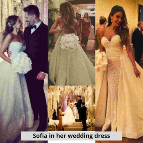 Top 10 Fashionable Wedding Dresses of Hollywood Actresses! Click To ...