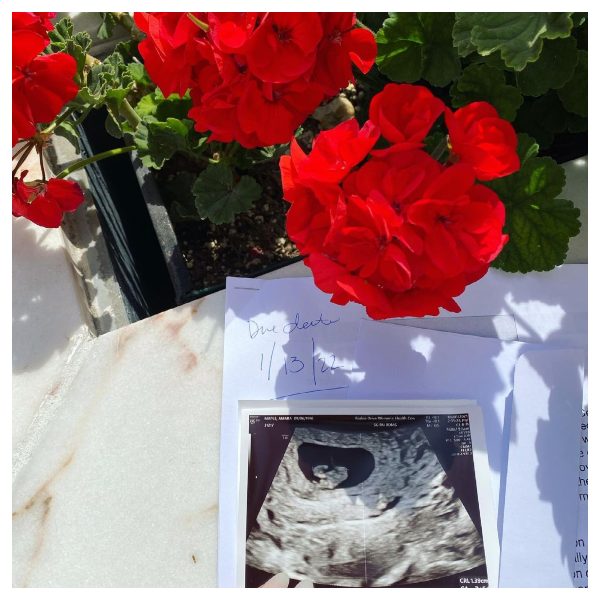 who is lana rhoades’ baby’s daddy? Lana Rhoades pregnant with her first child