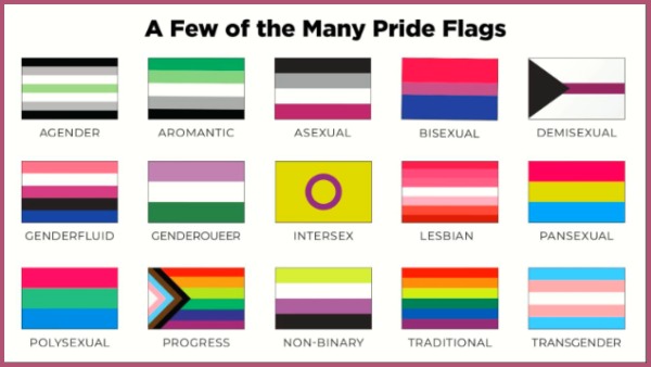 it-s-pride-month-add-your-flag-and-know-what-it-means-married-biography