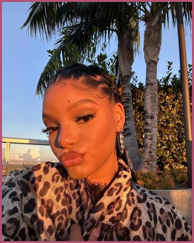 Halle Bailey Claps Back At Haters For Hiding Her Pregnancy Married Biography