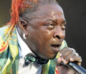 Elephant Man