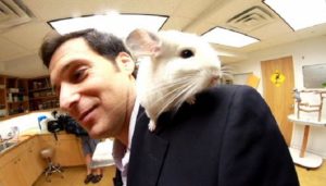 John Berman