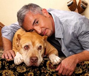 Cesar Millan