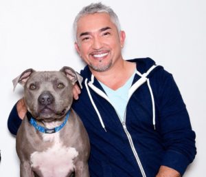 Cesar Millan