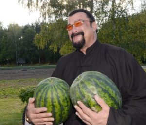 Steven Seagal